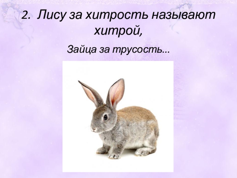 Где обитают зайцы. Зайцы какое число. Предложение про зайца. Предложение со словом заяц. Зайка какой род.