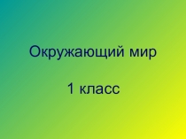 Презентация по окружающему миру Кто такие птицы