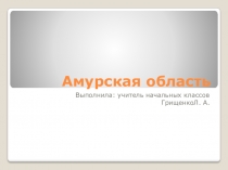 Презентация по окружающему миру Амурская область (4 класс)