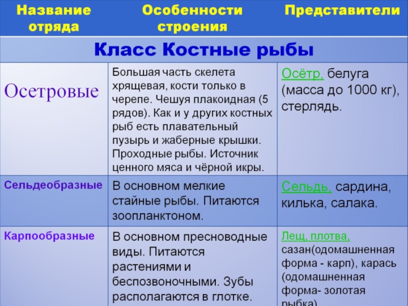 В особенности значение. Классы костных рыб таблица. Отряды костных рыб таблица. Отряды хрящевых рыб таблица. Таблица по биологии отряды рыб.