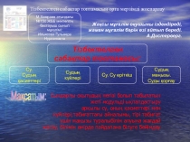 Тізбектелген сабақтар топтамасын орта мерзімді жоспарлау