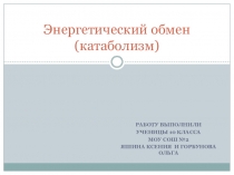 Презентация по теме Обмен веществ и энергии 10 класс биология
