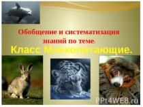 Презентация к уроку по зоологии 7 клас