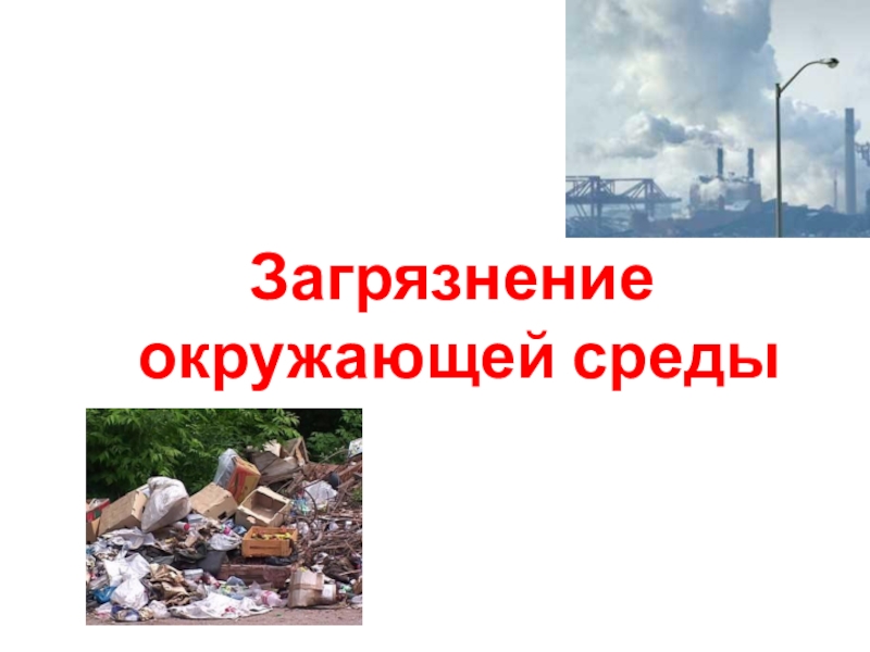 Презентация Загрязнение окружающей среды