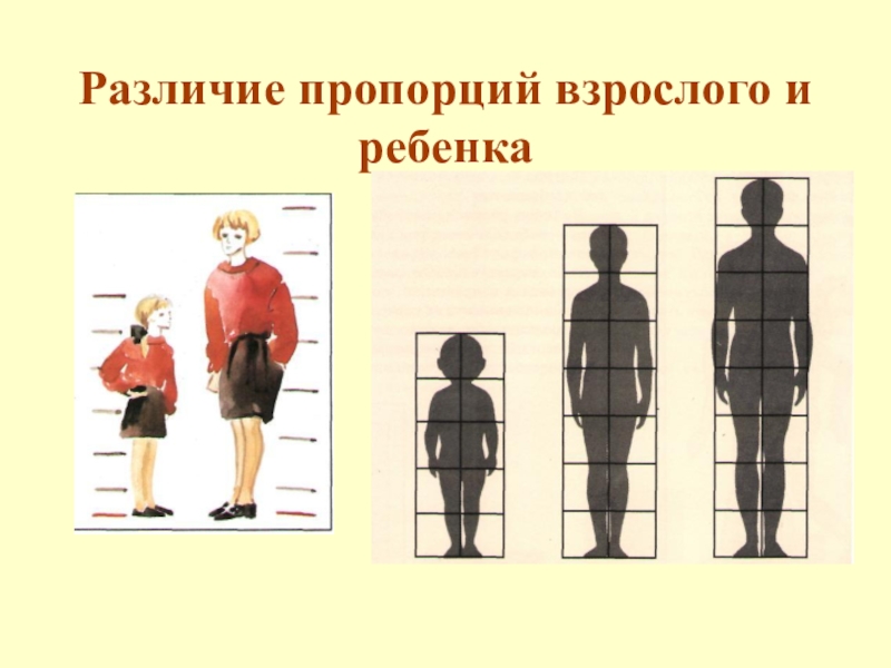 Объемное изображение человеческой фигуры или фигуры животного в рост это