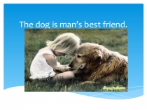 Презентация по английскому языку Dogs Poem