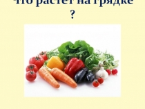 Презентация Что растёт на грядке?