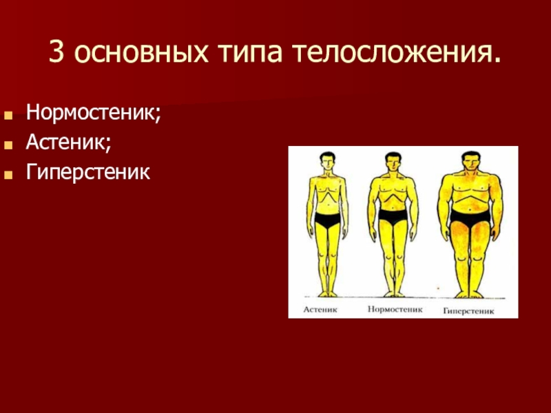 Особенности физического развития и телосложения у представителей различных видов спорта презентация