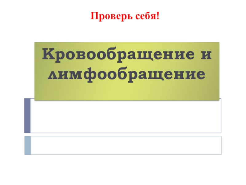 Презентация кровообращение и лимфообращение 8 класс пасечник