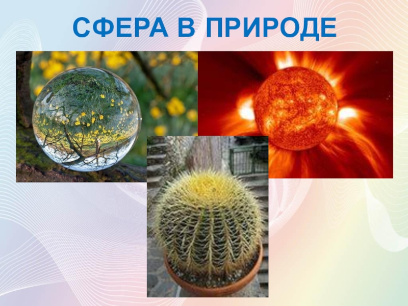 Природные сферы. Сфера в природе. Сфера и шар в природе. Форма шара в природе. Геометрические формы шара в природе.