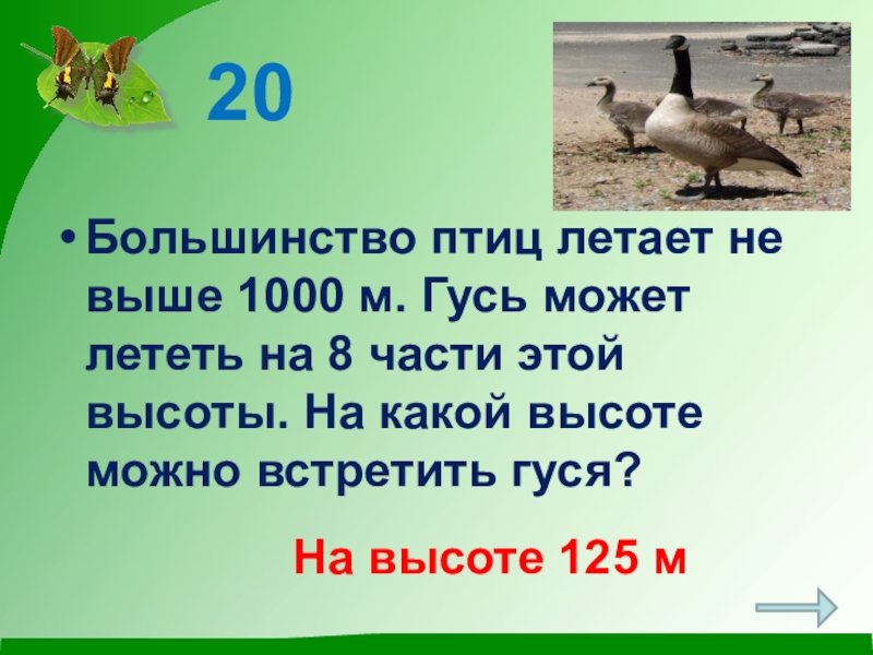 Найдите предложение соответствующее схеме гуси высоко летят