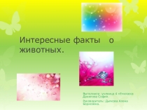 ПрезентацияИнтересные факты о животных
