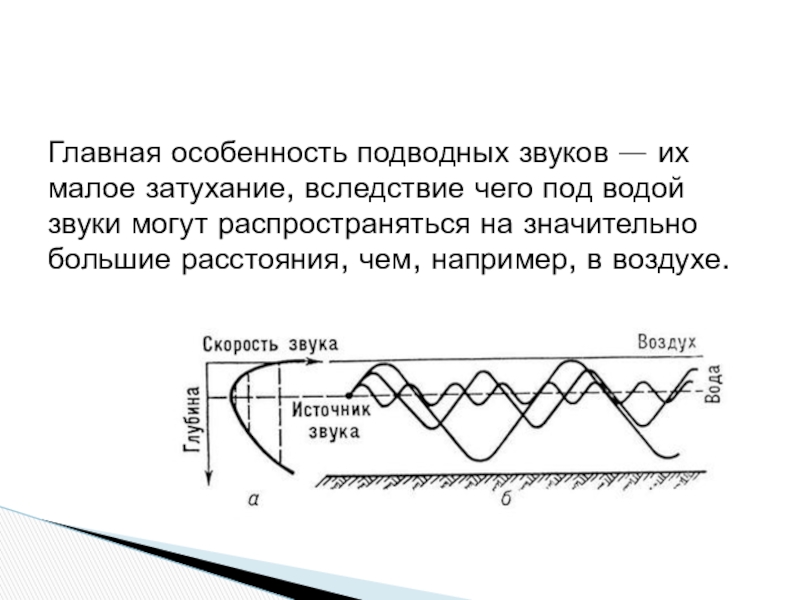 Отсутствие изображения за объектом вследствие затухания ультразвуковых волн называется