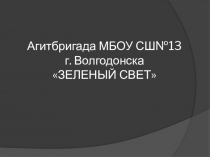 Презентация команды ЮИД Зеленый свет