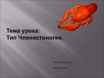 Презентация по биологии 7 класс Членистоногие