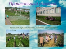 Пришкольный участок