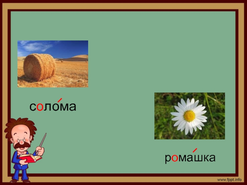 Слово соломенная. Солома словарное слово в картинках. Словарное слово Ромашка в картинке. Словарное слово солома 3 класс. Солома словарное слово 2 класс.