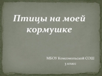 Проект птицы на моей кормушке