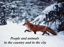 Презентация по английскому языку по теме People and animals in the country and in the city