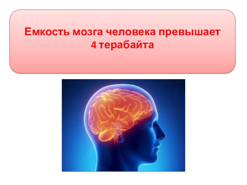 Память мозга человека. Ёмкость мозга человека. Объём памяти человеческого мозга. Память мозга в терабайтах. Емкость мозга человека превышает 4 терабайта..