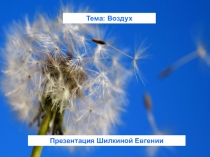 Презентация по окружающему миру Воздух