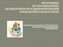 ПРОГРАММА ПО ПРОФИЛАКТИКЕ БЕЗНАДЗОРНОСТИ И ПРАВОНАРУШЕНИЙ СРЕДИ ДЕТЕЙ И ПОДРОСТКОВ