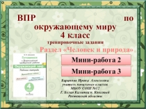 Презентация ВПР по окружающему миру 4 класс. Мини-работа 2, 3