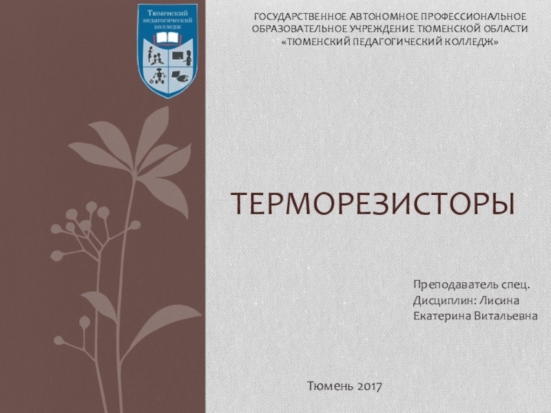 Государственный автономный профессиональное образовательное