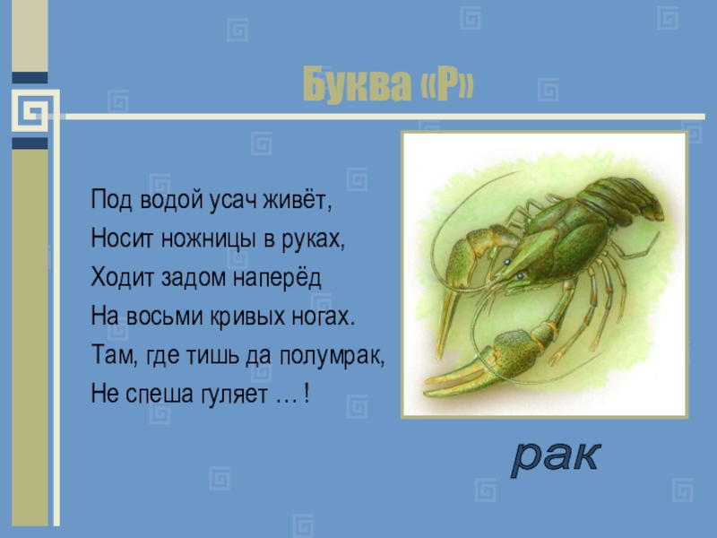 загадка про рачков. родилась в воде а живет на земле выпуча глаза. членистоногие биология 7 класс паукообразные. под водой живет народ ходит задом наперед. он в речном песке живет ходит задом.