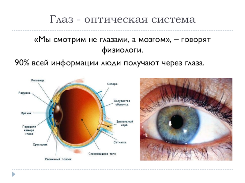 Система глазок