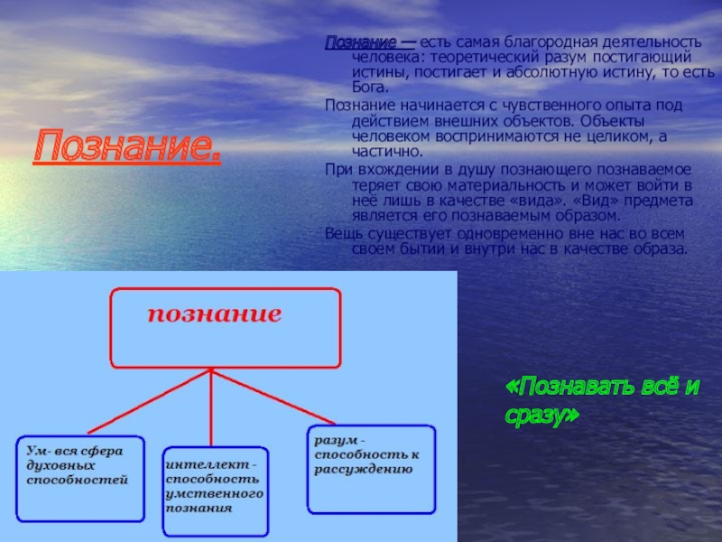 План по теме познание как вид деятельности