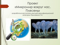 Презентация по ознакомлению детей с окружающим миром ПроектМикромир вокруг нас. Плесень