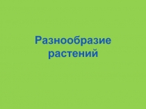 Презентация по биологии Разнообразие растений, 5 класс