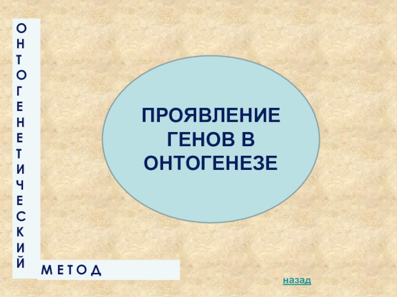 Проявление генов в онтогенезе экспрессивность и пенетрантность презентация