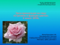 Презентация по биологии на тему Цветок