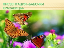 Презентация к занятию Бабочки красавицы