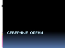 Презентация по биологии на тему: Домашние животные: Северные олени (7 класс)