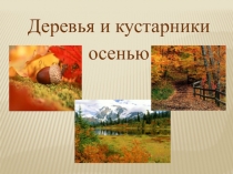 Презентация по русскому языку Имена собственные и нарицательные