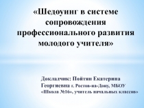 Шедоуинг. Один из основных инструментов обучения.