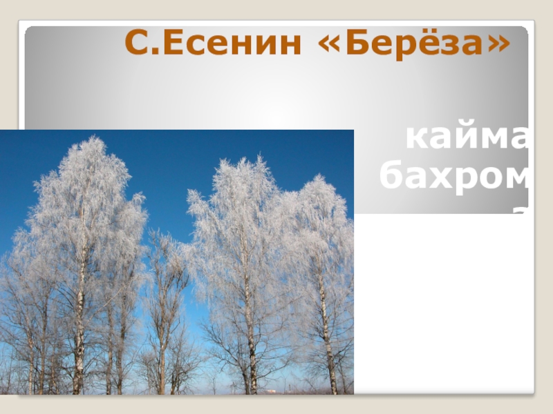 С есенин поет зима аукает береза 2 класс школа россии презентация