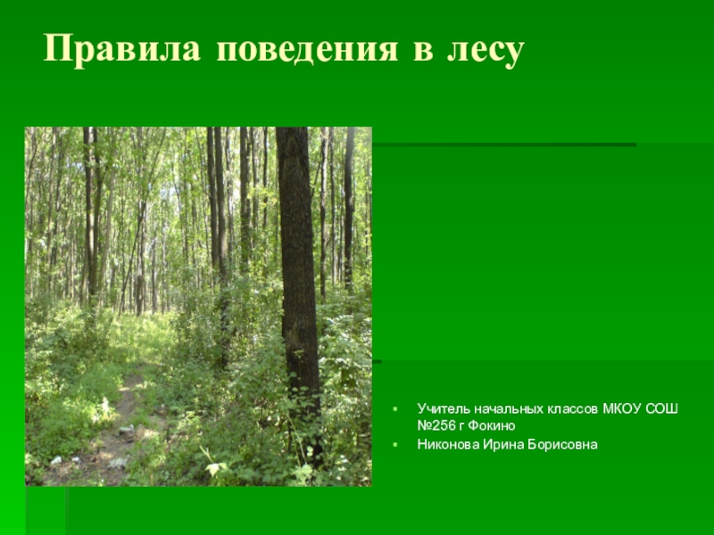 Презентация Презентация по ООМ Правила поведения в лесу (2 класс)