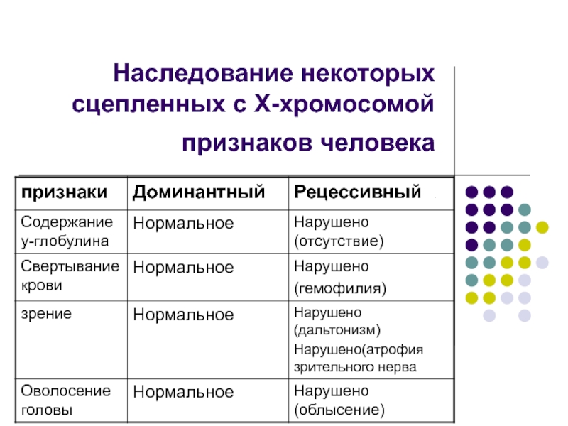 Признаки человека сцепленные с х хромосомой