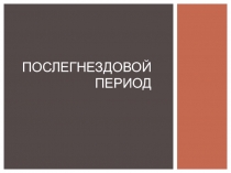 Презентация по биологии на тему Послегнездовой период (7 класс)