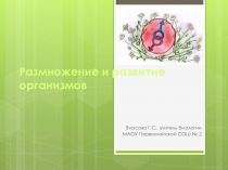 Презентация по биологии на тему  Способы размножения организмов