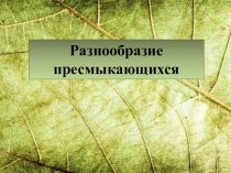 Презентация по биологии на тему Разнообразие пресмыкающихся (7 класс)