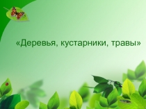 Урок окружающего мира Деревья,кустарники,травы 1 класс