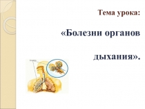 Болезни органов дыхания( 8 класс)