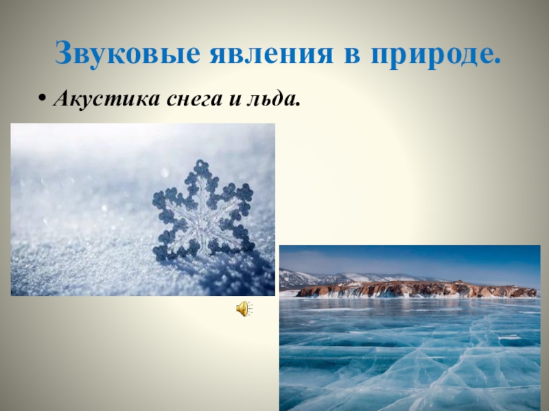 Звуковые явления сообщение. Звуковые явления в природе. Звуковые явления в природе примеры. Звуковые явления в живой природе примеры. Звуковые природные явления физика.