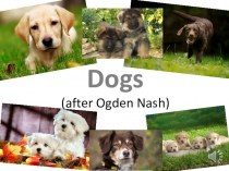 Презентация по английскому языку к стихотворению GOGS by Ogdan Nash
