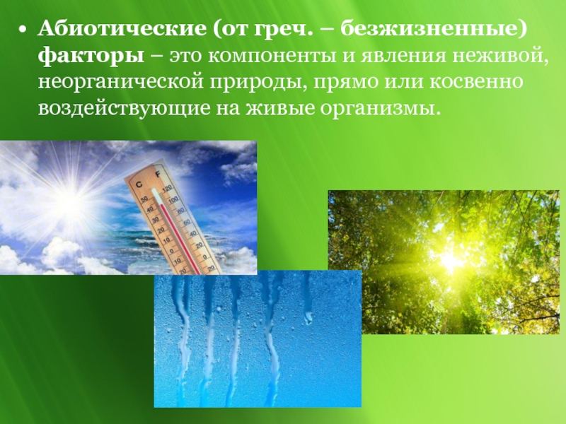 Излучения живых организмов. Абиотические факторы неживой природы. Абиотические факторы окружающей среды. Абиотические факторы природы. Абиотические факторы это факторы.